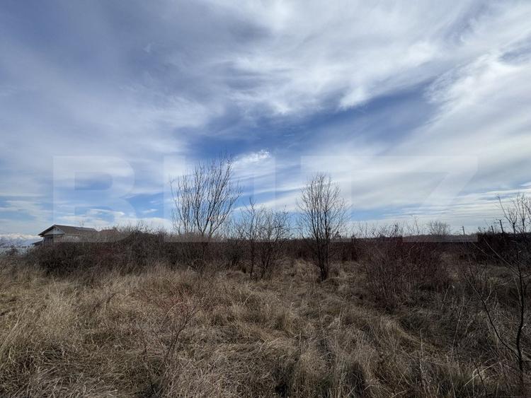 Teren extravilan de vanzare, 15.000 mp, zona Narcise II