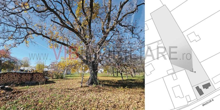 Teren intravilan BREBU MANASTIREI 3163 mp