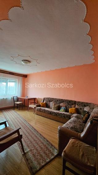 Apartament in bloc reabilitat, 2 camere, et 4, Zona 300, Micalaca,Arad - 10