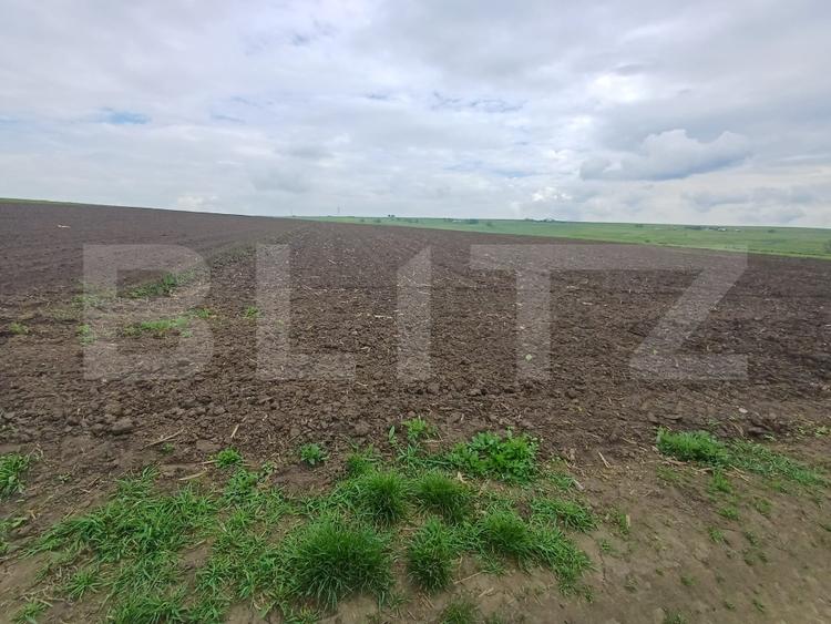 Teren de vanzare intravilan, 33 ari, Cumparatura
