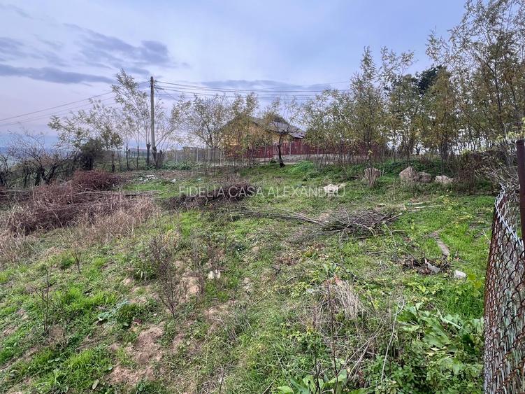 Teren pentru constructii case de vanzare Iasi Popricani - 2
