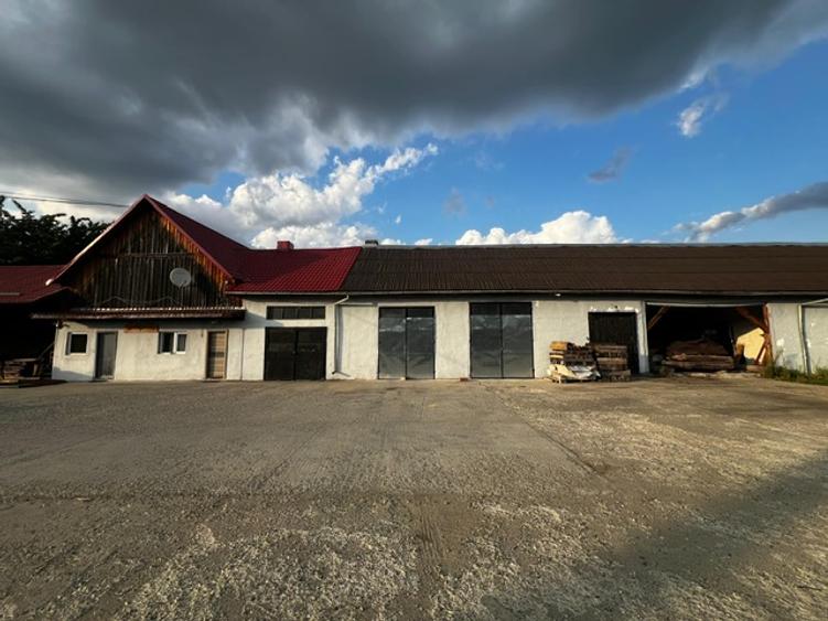 Fabrică de cherestea complet utilată & centru logistic