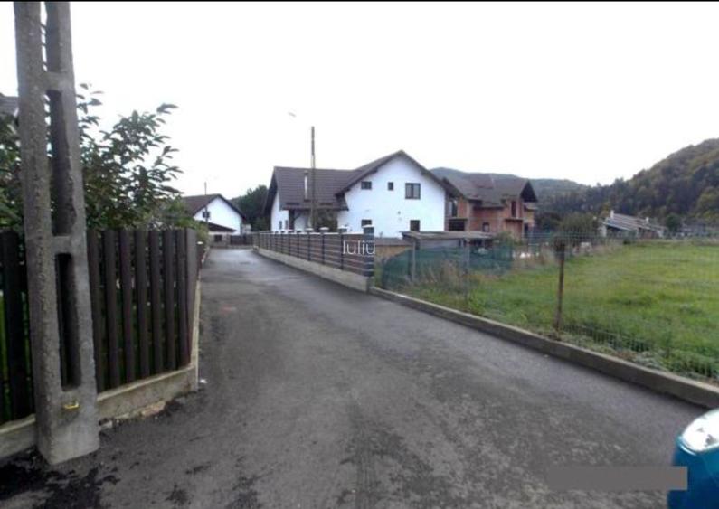 5200 sau 2600 mp teren vanzare,direct proprietar, parcelabil, apropiere Arinis - 4