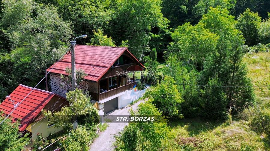 Sub padure, casa si teren de vanzare in Baia Mare - 33