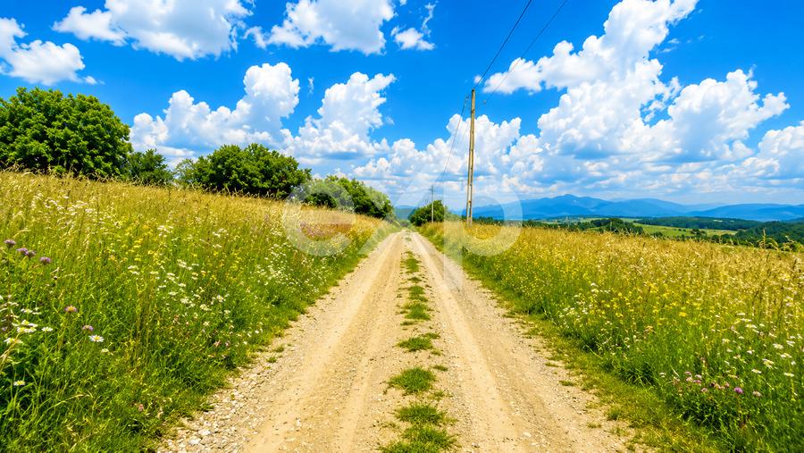 PANORAMA POIANA MĂRULUI | Terenuri cu potențial de dezvoltare