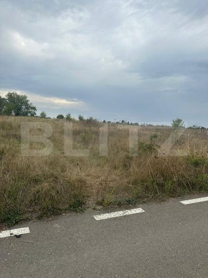 Teren intravilan/extravilan, 1500 mp, Cazaci
