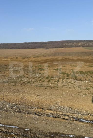 Teren intravilan, 3200 mp la DN 85, la ieșirea din Suceava