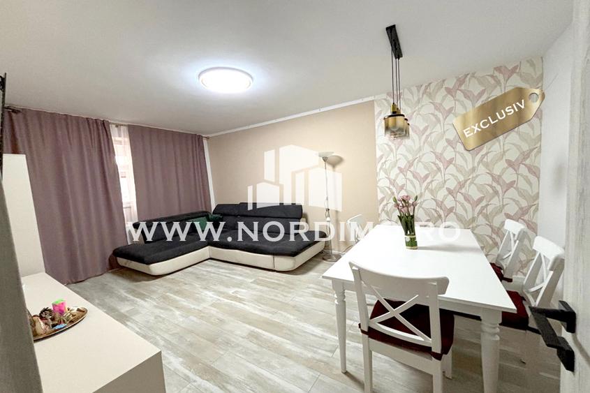 Vanzare apartament cochet cu 3 camere, renovat total, Drumul Taberei