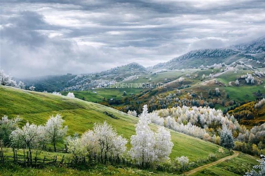 Resedinta/ pensiune, in areal privilegiat. cu 1.000 mp teren, Pestera, Bran, Bra - 2