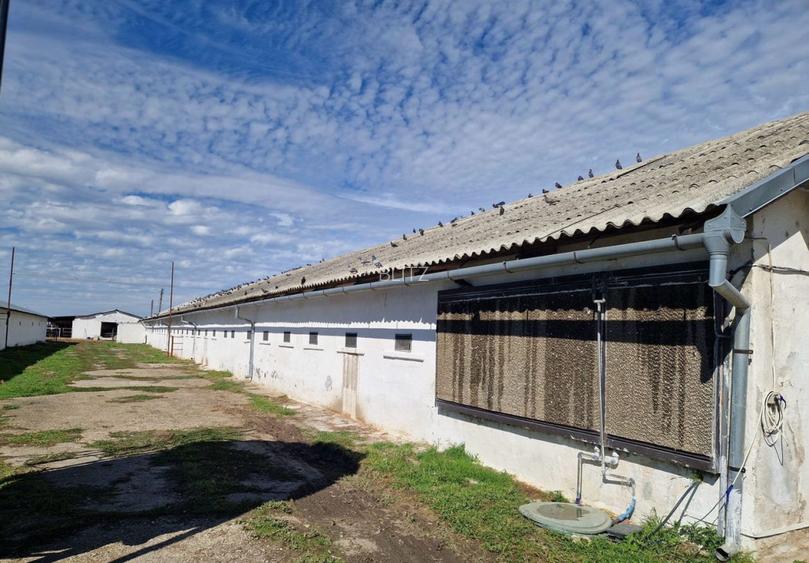 Teren intravilan 26395 mp (fosta Ferma Avicola), Zona Simnicu de Sus - 2