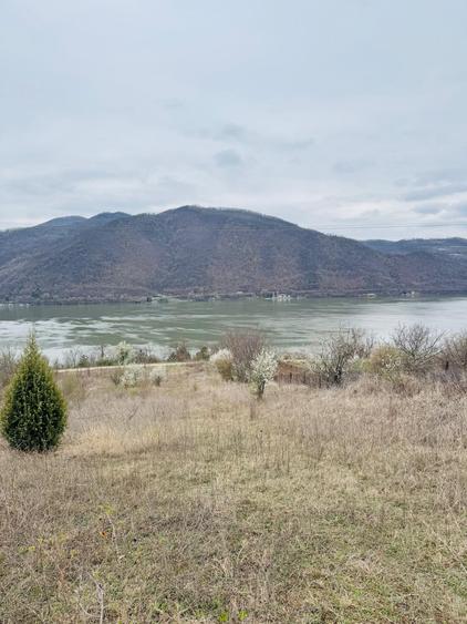 Teren Construcții intravilan de 6042 mp, în Berzasca