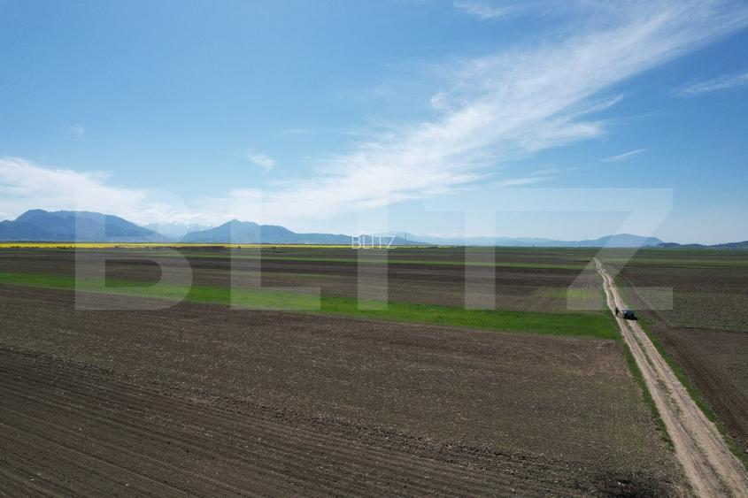 Teren extravilan, 17700mp, zona Prejmer - 7