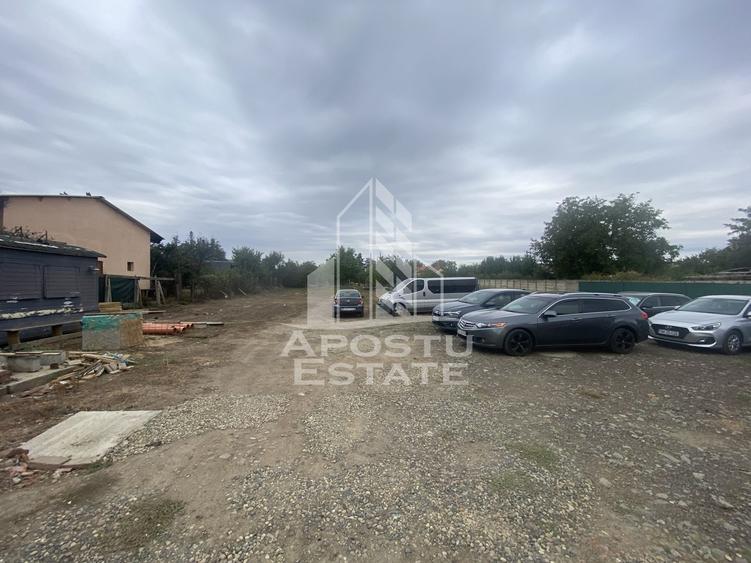 Casa în Dumbrăvița cu teren de 3039 mp și Front Stradal de 40 ml