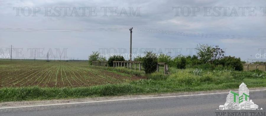 Teren intravilan - vanzare - centura - Cazasu - Braila - 2