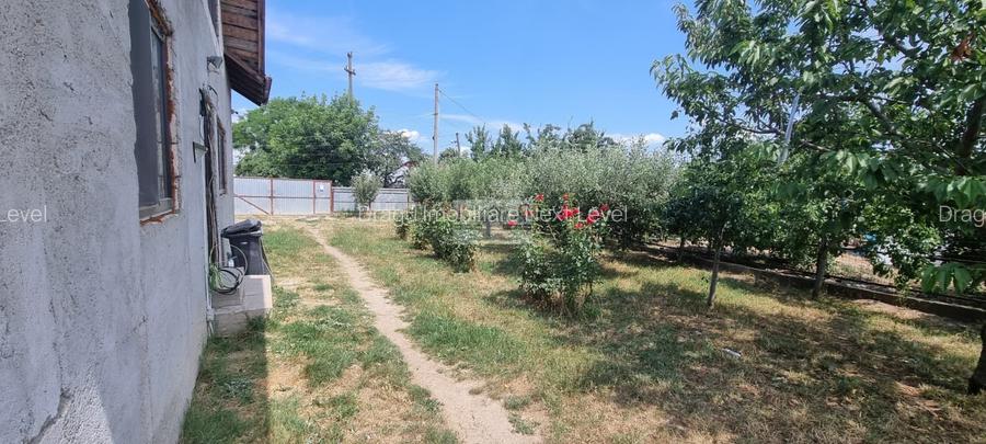 Casa Adjud - Oportunitate Premium: Vilă Individuală P+M