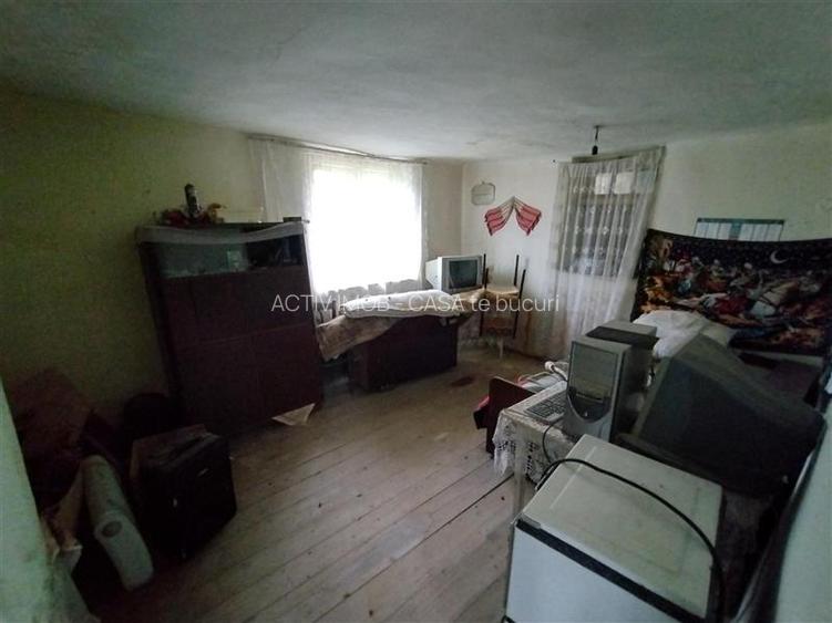 Bogodint, Casa cu 4 Hectare Teren, Pret Negociabil - 23