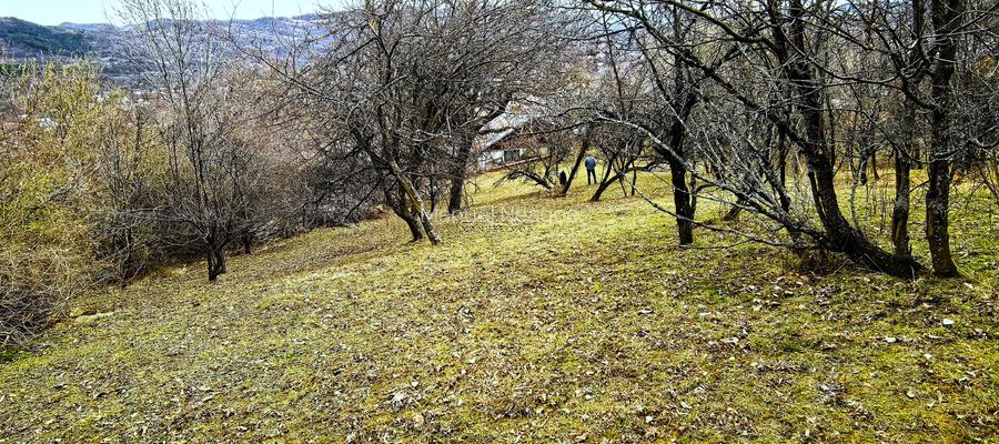 Teren Breaza 2623mp , pot 35% , cut 1,2 conform cert urb.intravilan - 12