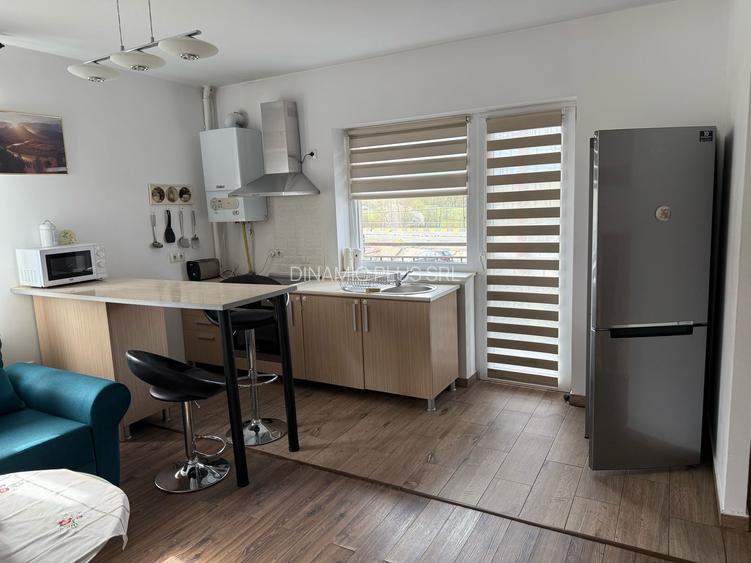 APARTAMENT LUX IN SELIMBAR - 30
