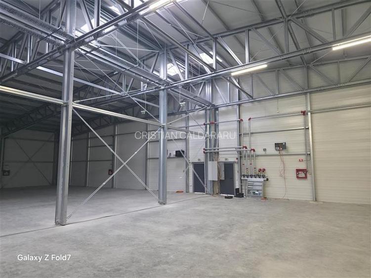 Vanzare depozit/hala/spatiu industrial Mogosoaia - Buftea - 6