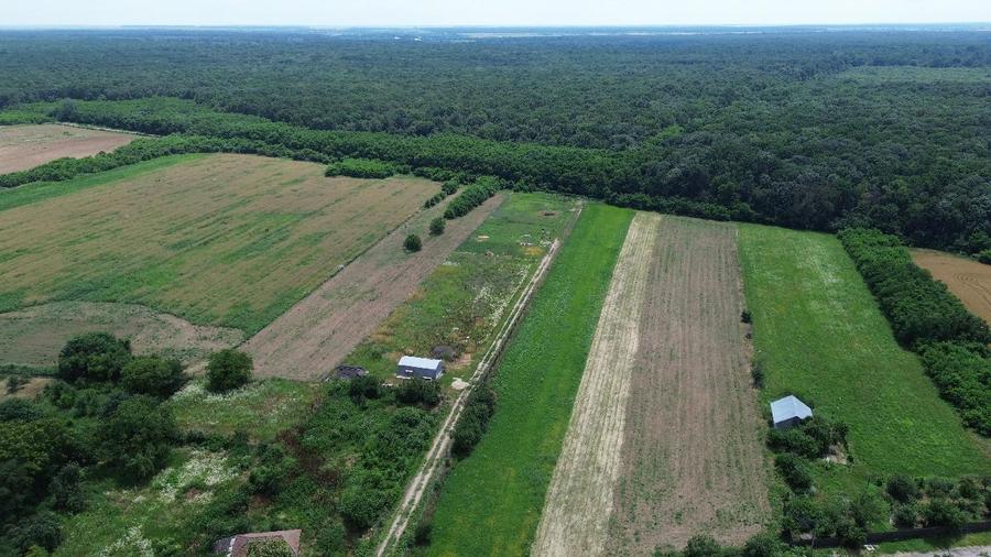 OCAZIE - Teren Intravilan - 8300 mp, Gruiu - Padurea Snagov