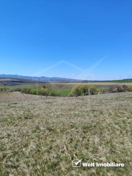 Teren extravilan in Ciurila
