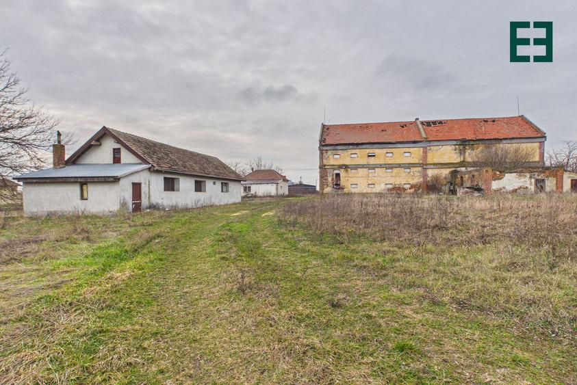 Teren de 8.632 mp + Proprietate Industrială - Voiteg - Județul Timiș