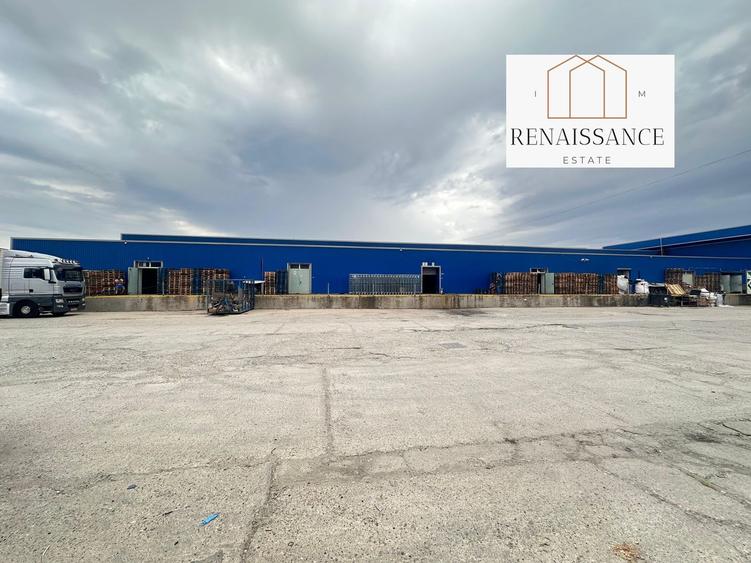 3 Hale Clasa A | 11.250mp Construiti 25.450mp Teren | Freidorf