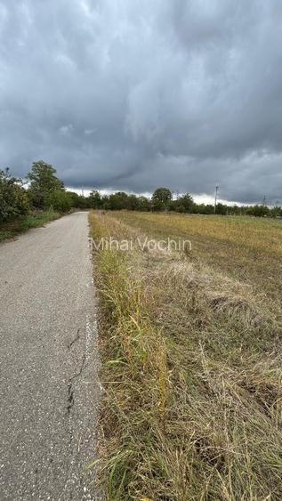 Vand teren Intravilan 1400 MP in Parcul National Comana - Vlad Tepes - Giurgiu - 12