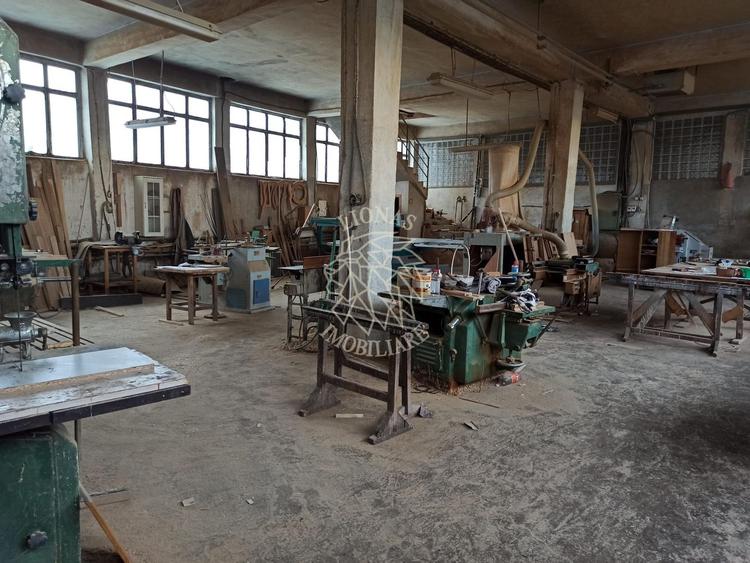 Complex de 3 hale 1545 mp-ideal prelucrare, service-Valea Ghinzii