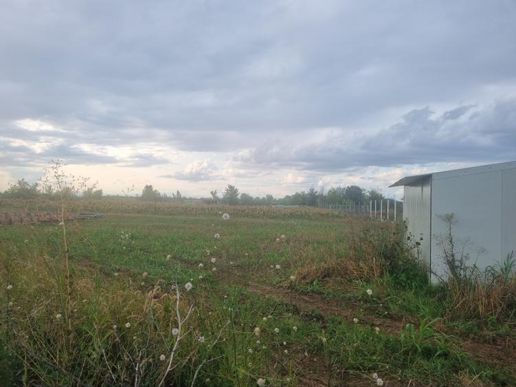 Teren de vanzare in Ciolpani