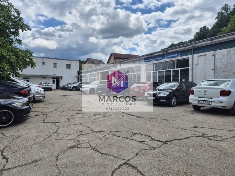 Vand hala Calea Timisoarei