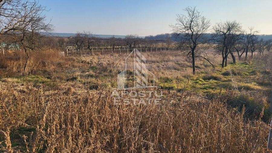Teren de 3844 mp cu proiect autorizat pt casa individuala,in Pischia,