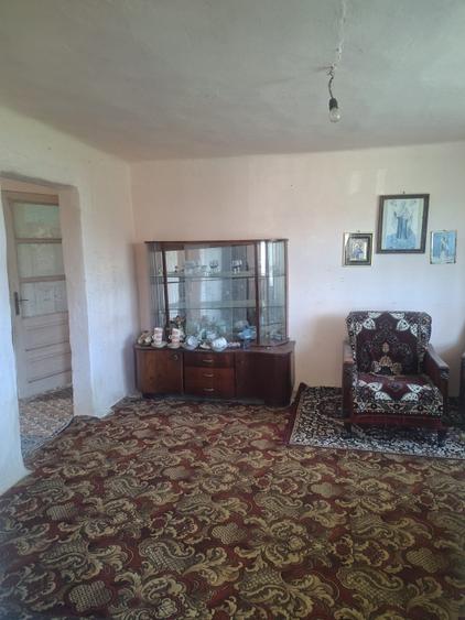 Casa de vanzare cu livada, fanta, 98 mp, Str. Principala - Coada Malului
