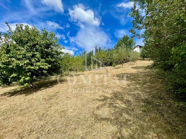 Casă + 1 apartament separat pe teren de 1.949 mp  cu panoramă Chinteni - 28