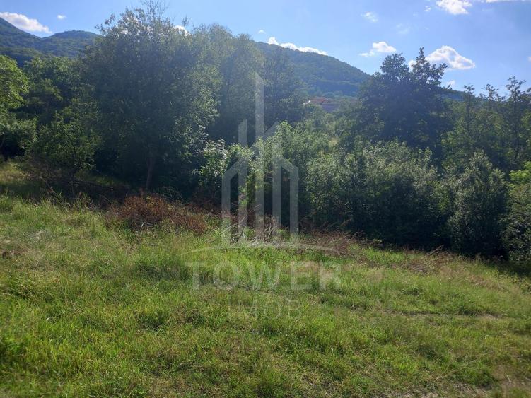 Teren în Fântânele – 3.673 mp, pârâu si cadru natural deosebit