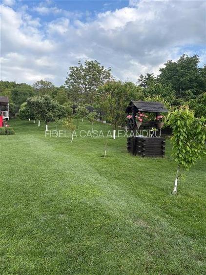 Vila  de vanzare  Bucium,369mp utili,1500mp teren,curte amenajata - 16