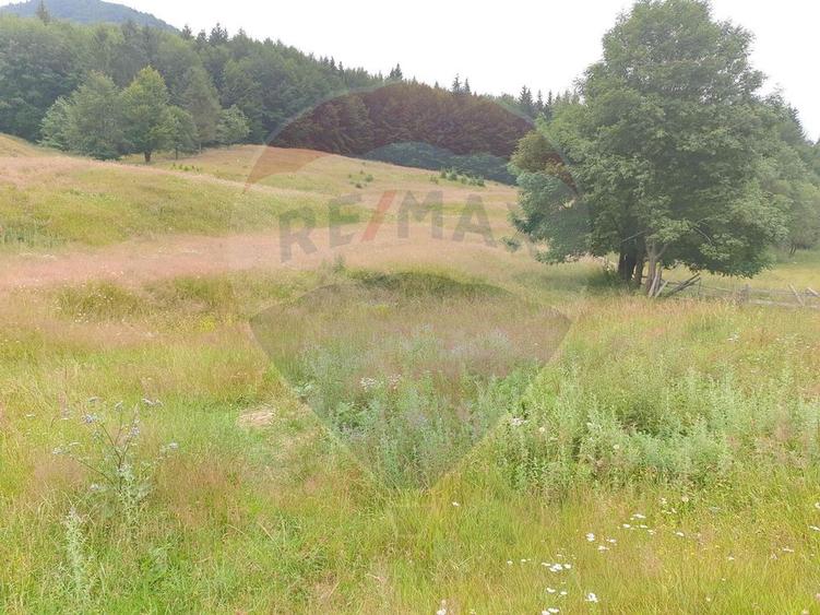 Teren 20000 mp, sat Dalghiu, com Vama Buzaului