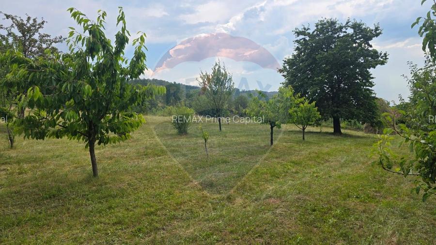 Casă cu livadă, 4 camere din cărămidă, de vânzare în zona Bratca-Damiș - 43