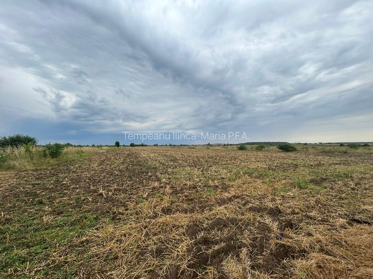 Vanzare Teren Extravilan 20.113 mp Otopeni Odai deschidere la 2 strazi, - 3