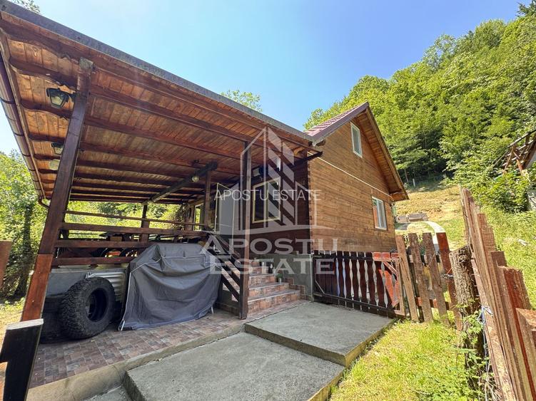 Casa din lemn, zona muntoasa, cu rau, la cheie, Ribita, Hunedoara - 56