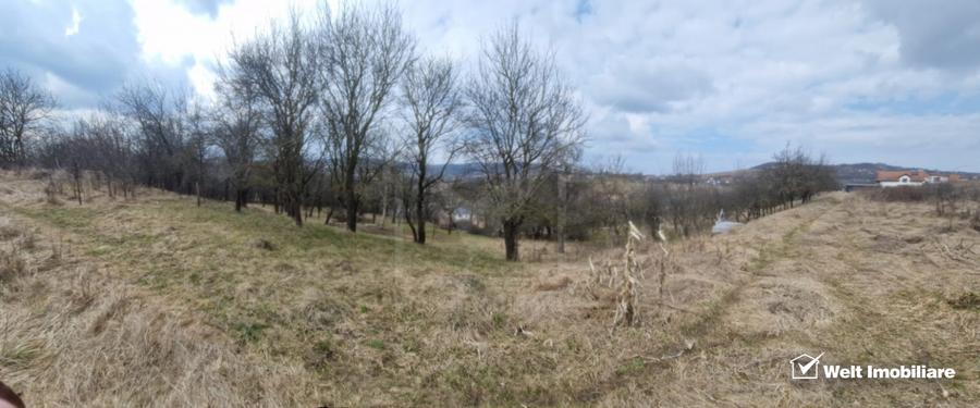 Casa la tara, la 30 min de Cluj – renovata, livada pe rod si teren 1000 mp