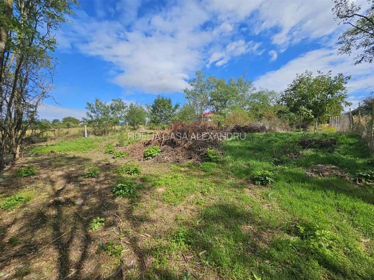Teren intravilan 904 mp, langa padure - Aroneanu , Iasi - 4