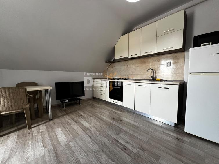 Apartament cu 2 camere și terasă, mobilat - Palas Mall