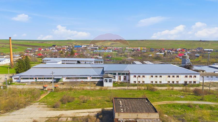 Teren Industrial / Hale de Vânzare 4.1 Ha - Zona industrială - Hârlău