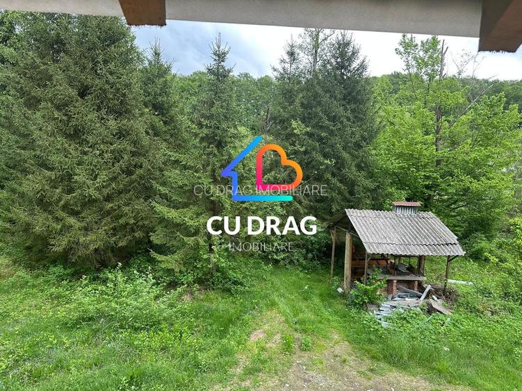 Investiție cu suflet: Pensiune de vânzare pe Valea Avrigului - 10
