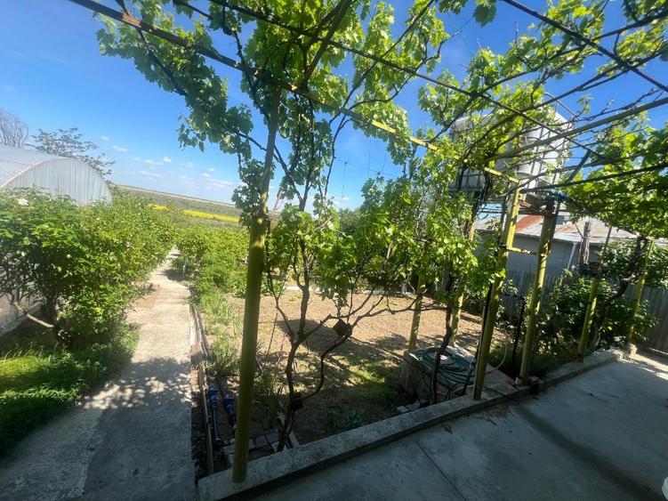 Vand casa cu livada si solar + spatiu comercial in sat Cismele (1498 mp)