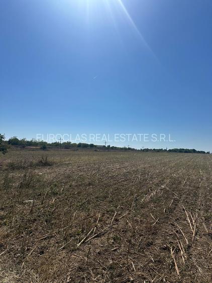 Exclusiv ! TUZLA - teren 10.000 mp cu deschidere 37 mp (Cod E8) - 9