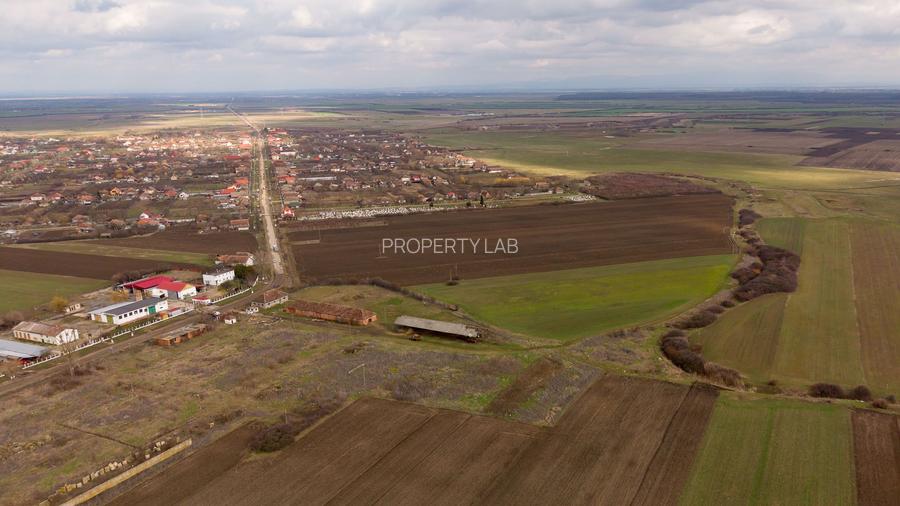 Fermă cu teren intravilan de 35000 mp în Mișca - 29