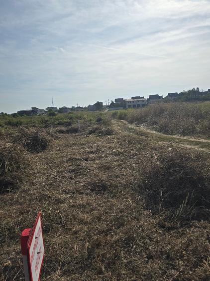 Proprietar vand teren Mogosoaia deschidere la lac 150 EURO/mp negociabil