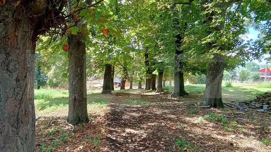 Cabana cu teren intravilan 18.449 mp – Paingeni | 7,5 €/mp | Vedere panoramică
